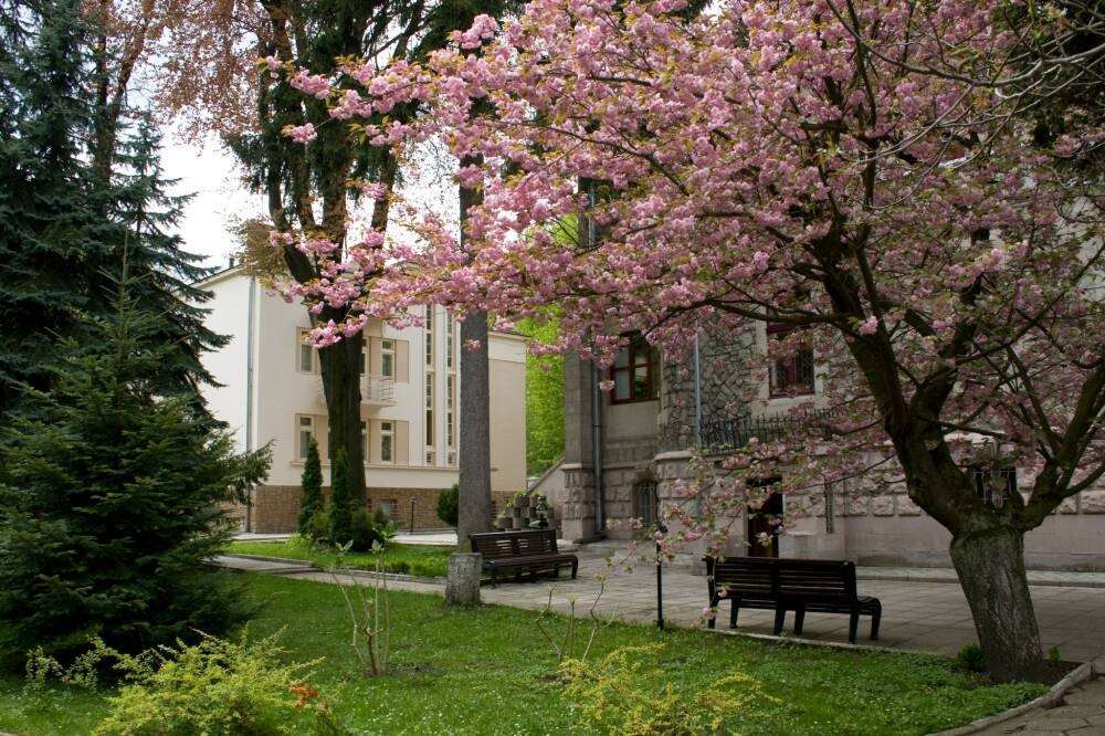 Lion'S Castle Hotel Lviv Luaran gambar